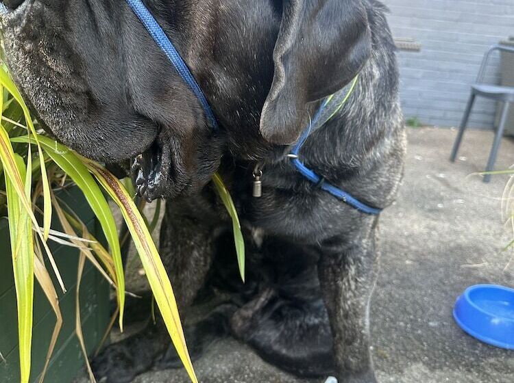 مبيت وإفطار The Wash & Tope