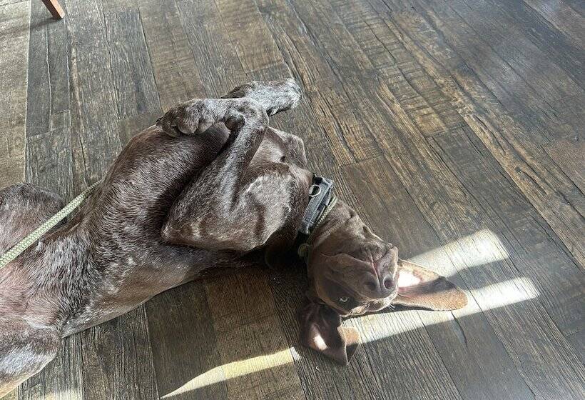 مبيت وإفطار The Wash & Tope