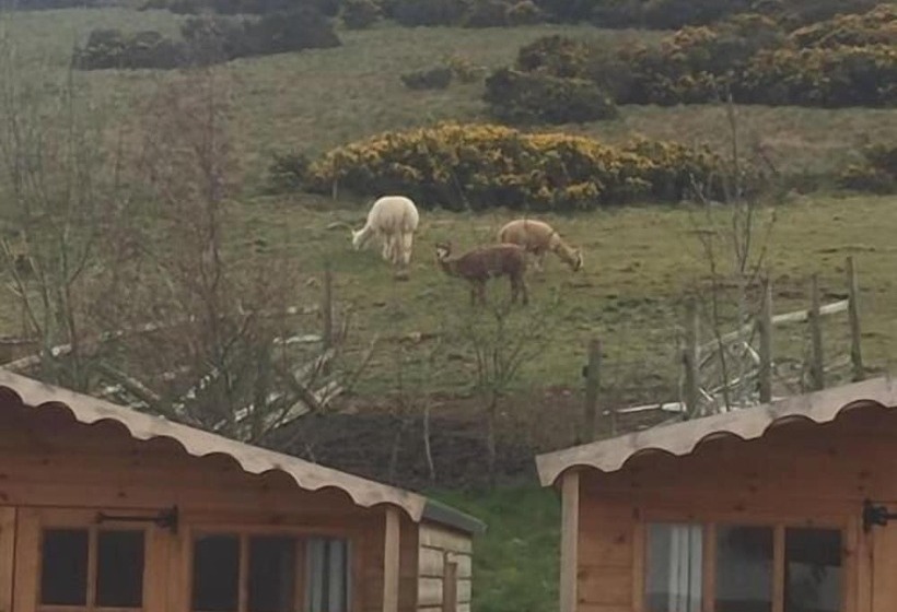 فندق Abel S Harp