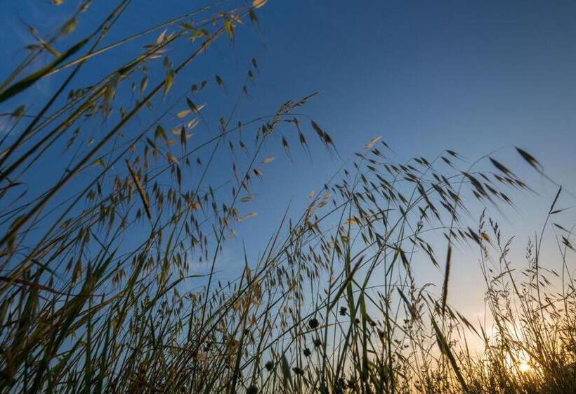 Отель Agriturismo Il Barco