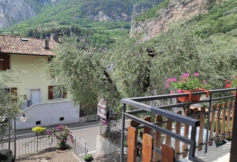 فندق Albergo Stella D Italia