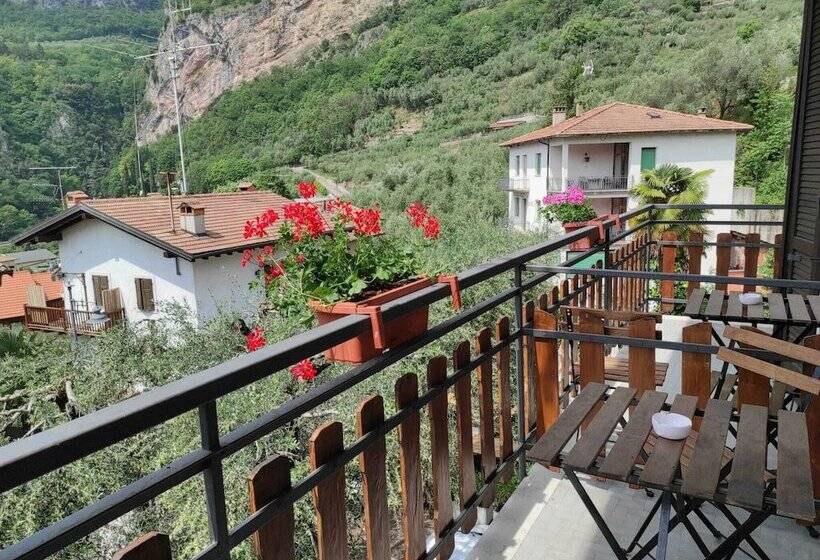 فندق Albergo Stella D Italia