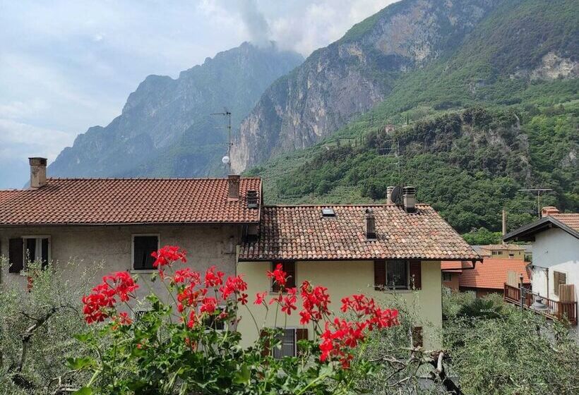 فندق Albergo Stella D Italia