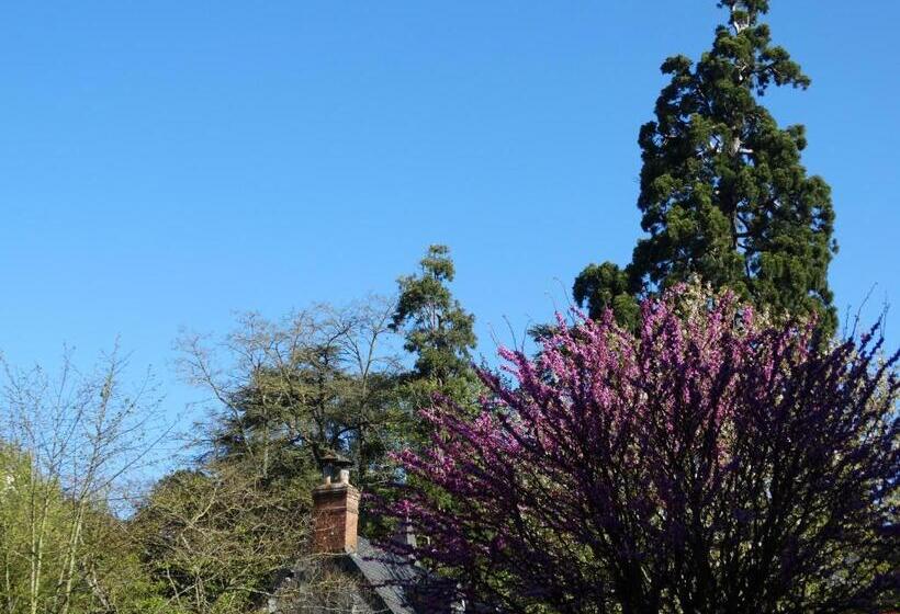 בית מלון כפרי Castel Fleuri