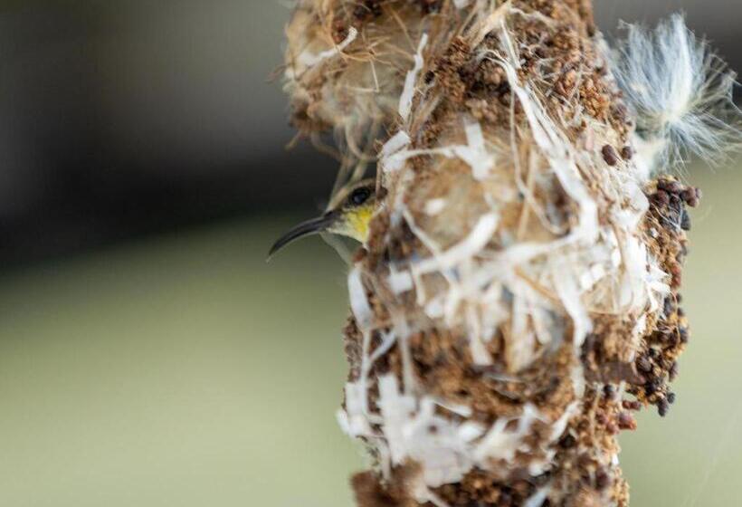 Отель Chayada Garden House And Resort