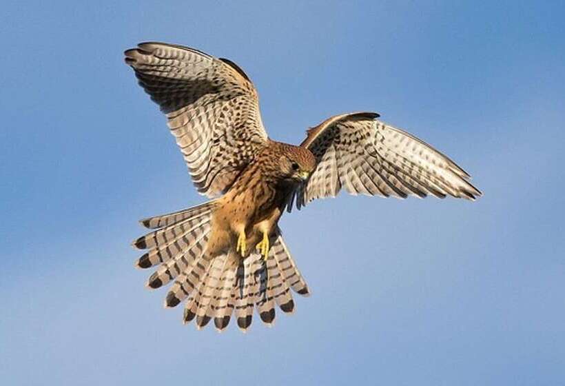 Cotswolds Hotel & Spa