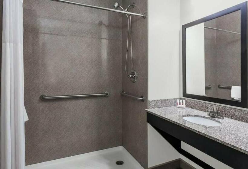 Отель Days Inn & Suites By Wyndham Jamaica Jfk Airport