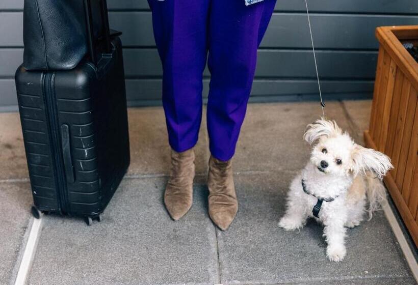 Even Hotel New York   Midtown East, An Ihg