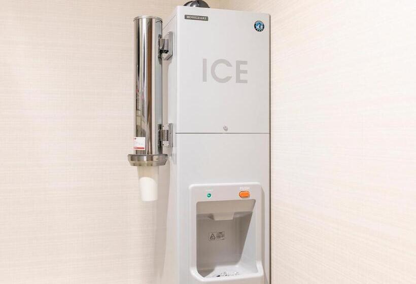 בית מלון כפרי Gracery Naha