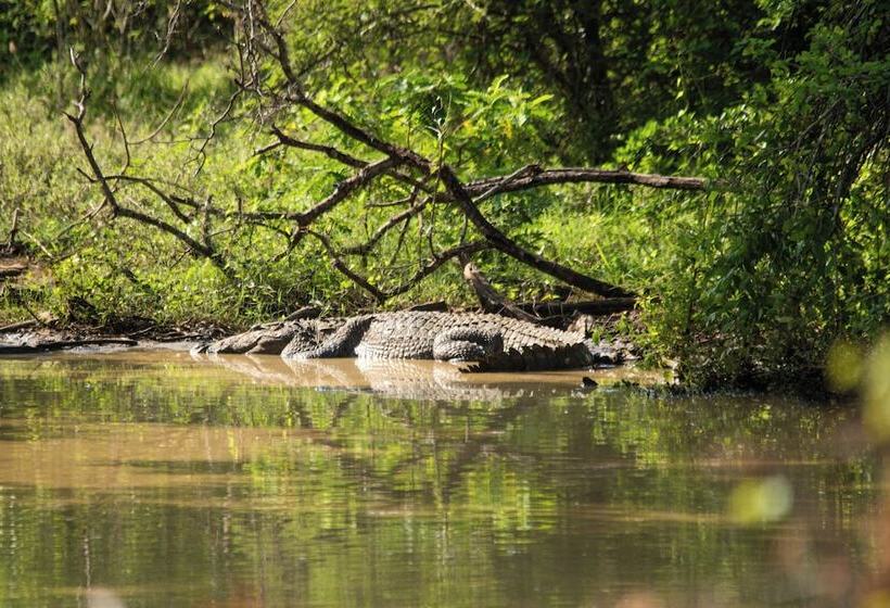 Отель Jetwing Jungle Lodge