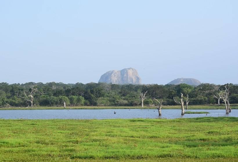 Отель Jetwing Jungle Lodge