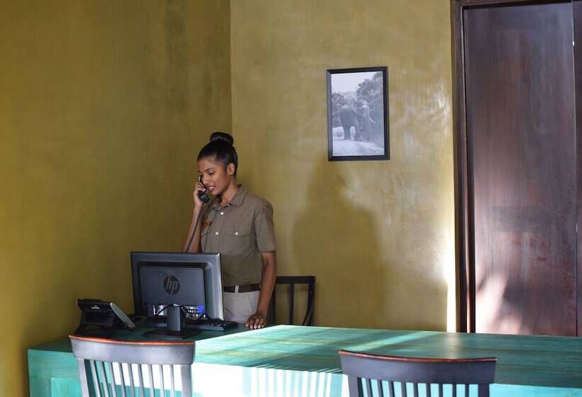 Отель Jetwing Jungle Lodge