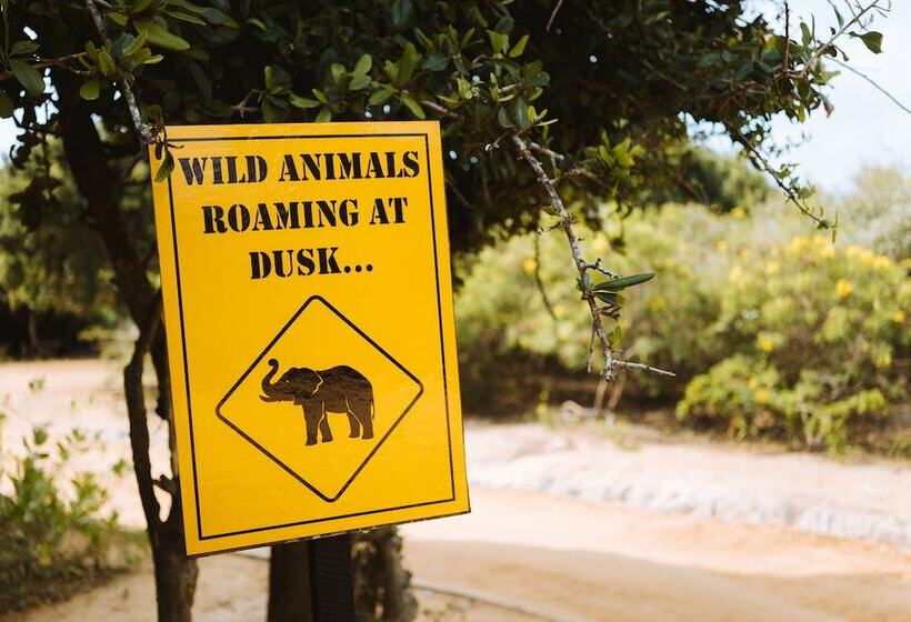 Отель Jetwing Jungle Lodge