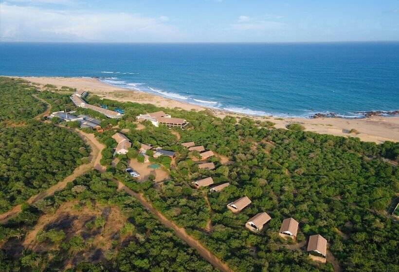 Отель Jetwing Jungle Lodge