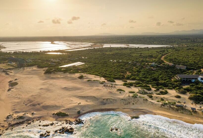 Отель Jetwing Jungle Lodge