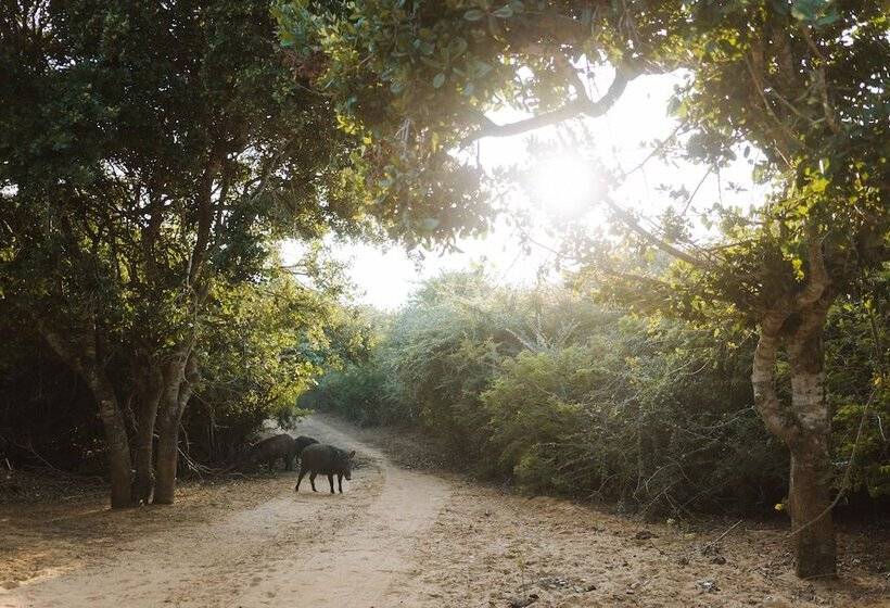 Отель Jetwing Jungle Lodge