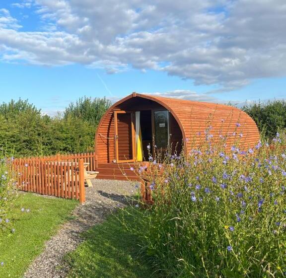 בית מלון כפרי Manor Farm Stay