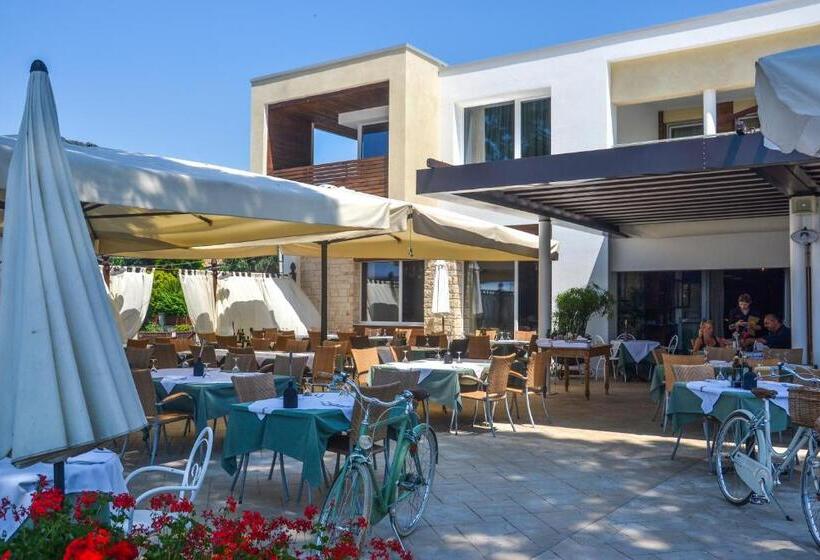 בית מלון כפרי Maximilian