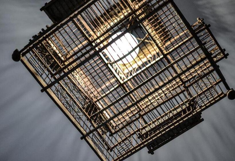 בית מלון כפרי Maximilian