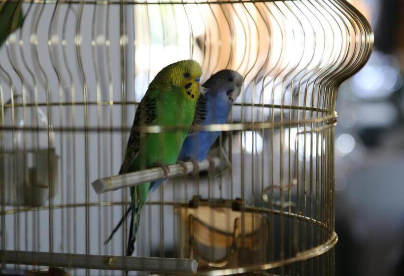 בית מלון כפרי Maximilian