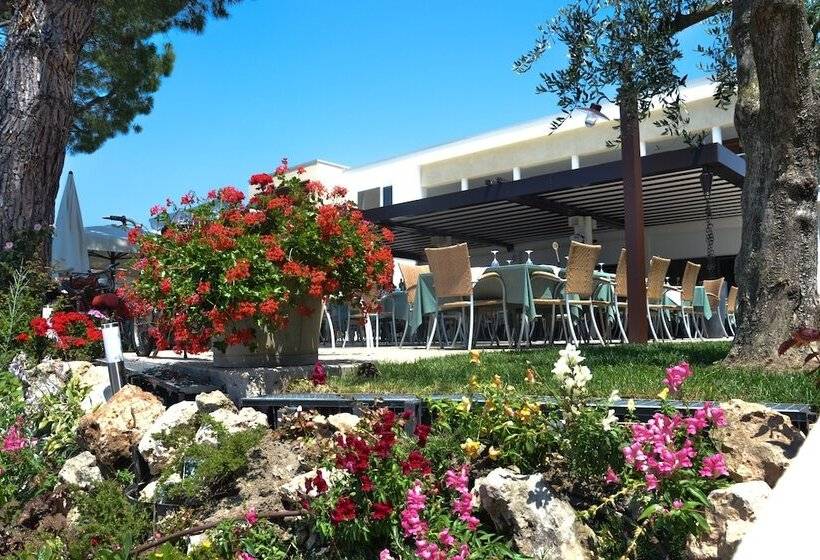 בית מלון כפרי Maximilian