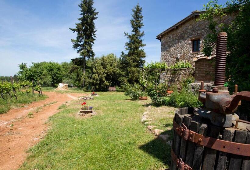 Отель Novelleto