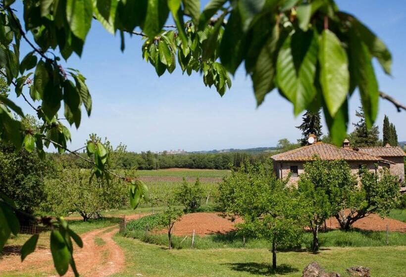 Отель Novelleto