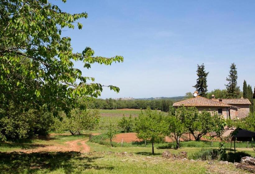 Отель Novelleto