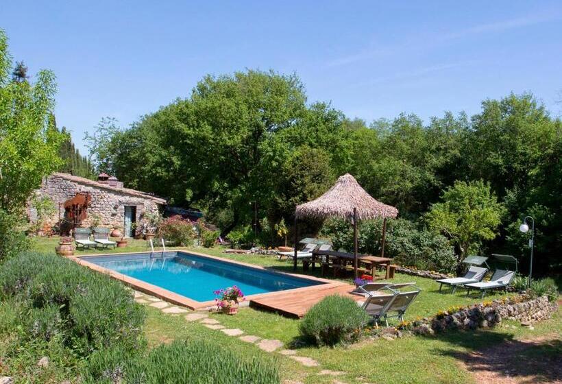 Отель Novelleto