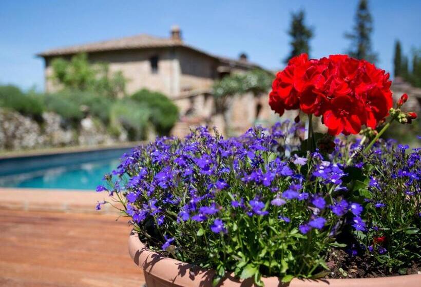 Отель Novelleto