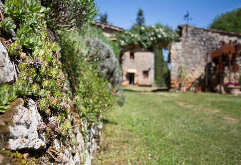 Отель Novelleto