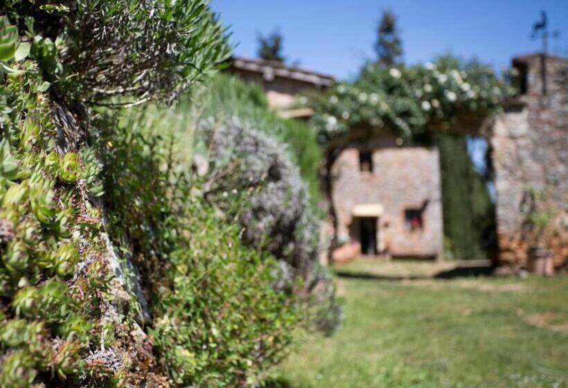 Отель Novelleto