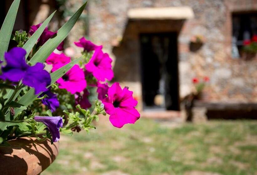 Отель Novelleto