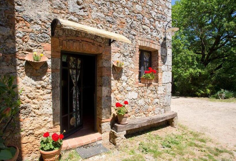 Отель Novelleto