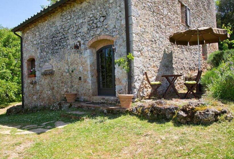 Отель Novelleto