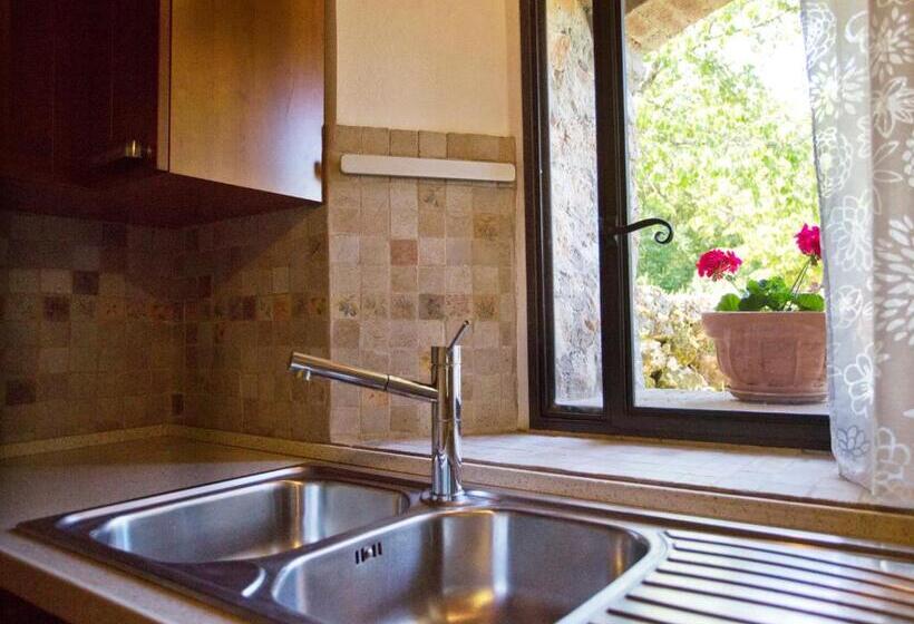 Отель Novelleto