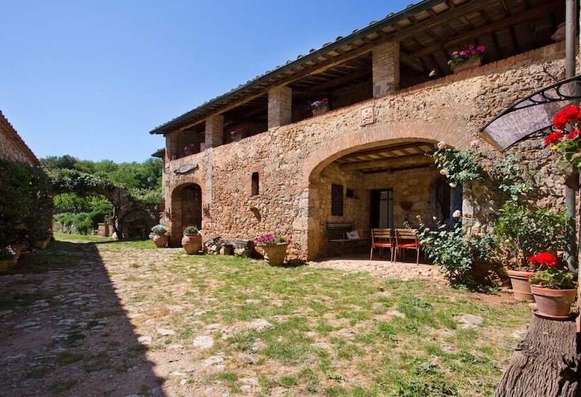 Отель Novelleto