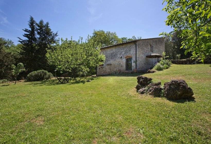 Отель Novelleto