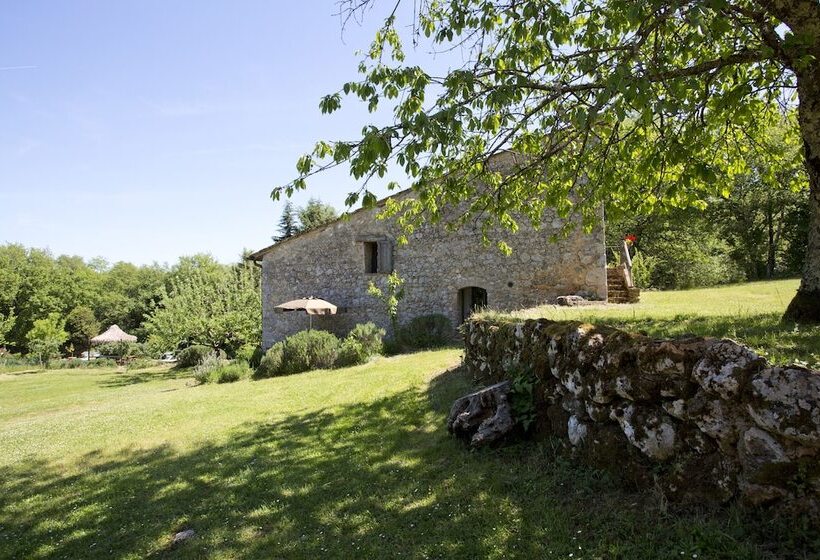 Отель Novelleto