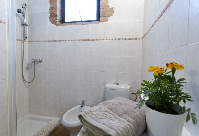 Отель Novelleto