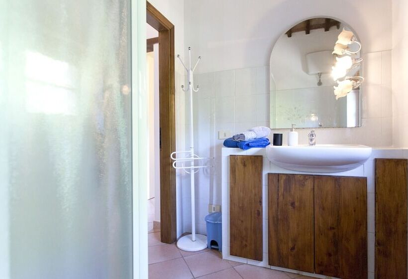 Отель Novelleto