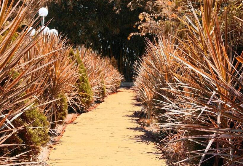 فندق Opulent River Face