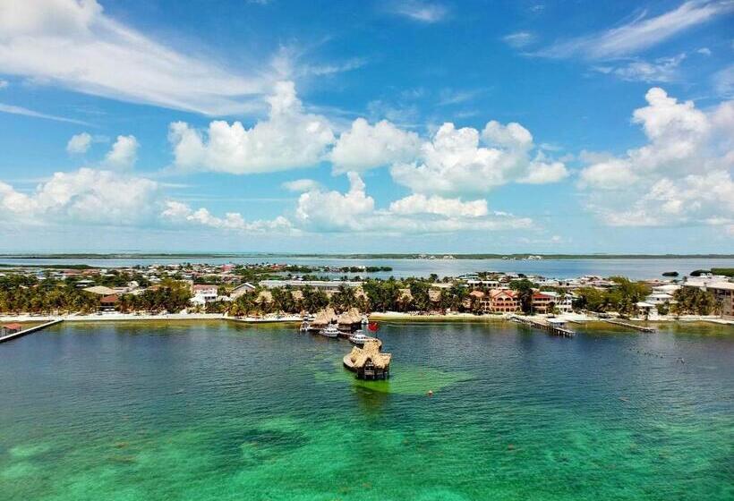 בית מלון כפרי Ramon's Village Resort