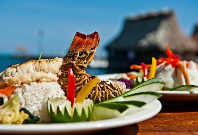 בית מלון כפרי Ramon's Village Resort