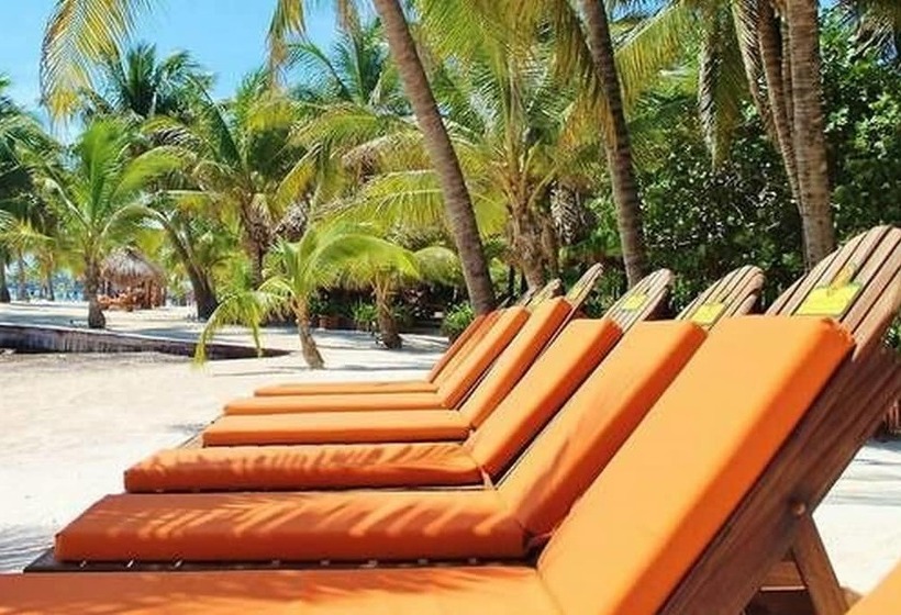 בית מלון כפרי Ramon's Village Resort