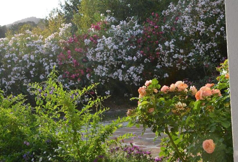 בית מלון כפרי Rio Molas