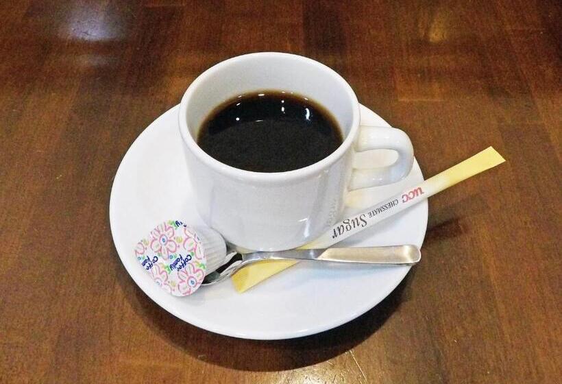 هتل Southern Cross Inn Matsumoto