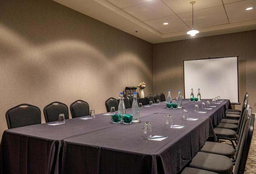 酒店 Springhill Suites Chicago Downtown/river North