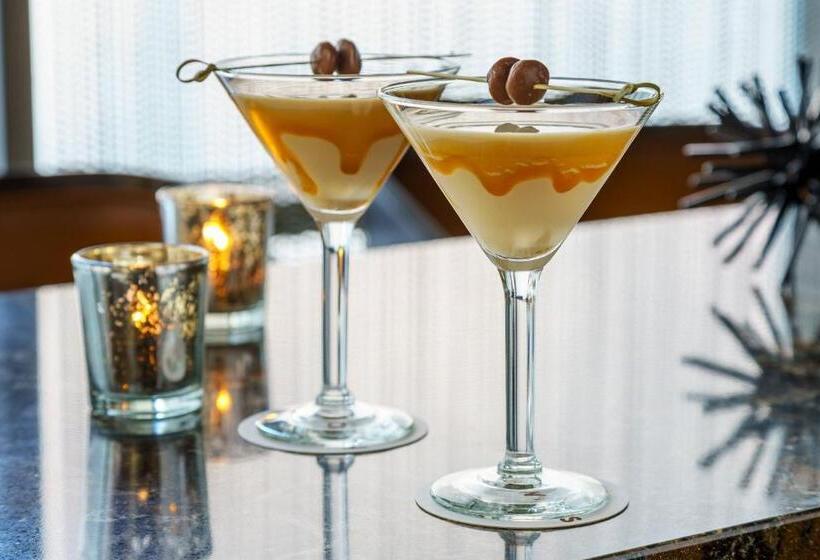 酒店 Springhill Suites Chicago Downtown/river North