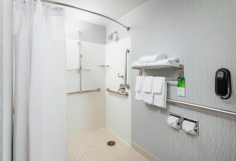 酒店 Springhill Suites Chicago Downtown/river North